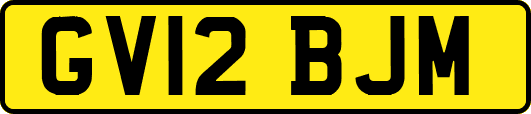 GV12BJM
