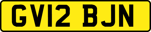 GV12BJN