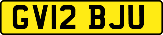 GV12BJU