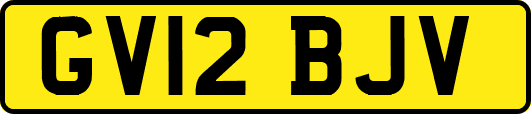 GV12BJV
