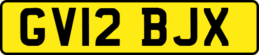 GV12BJX