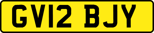 GV12BJY