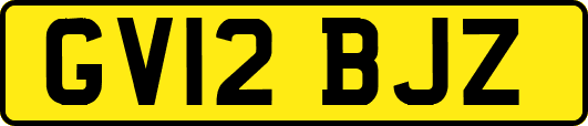 GV12BJZ