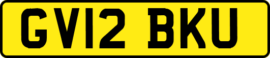 GV12BKU