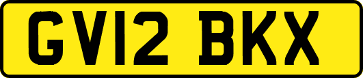 GV12BKX