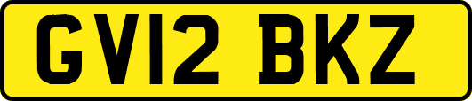 GV12BKZ