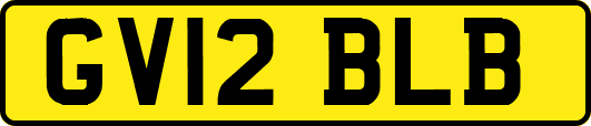 GV12BLB
