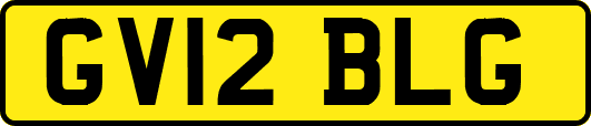 GV12BLG