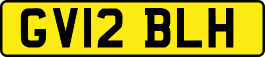 GV12BLH