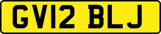 GV12BLJ