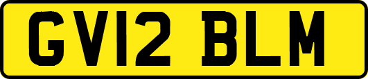 GV12BLM