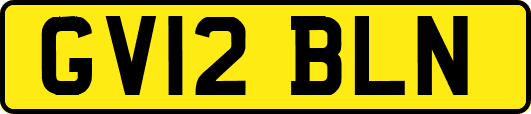 GV12BLN
