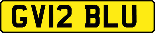 GV12BLU