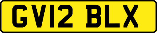 GV12BLX