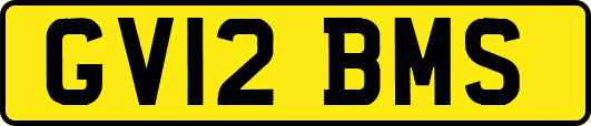 GV12BMS