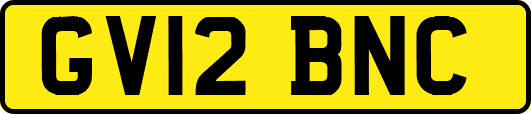 GV12BNC