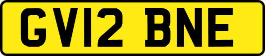 GV12BNE