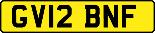 GV12BNF