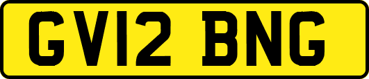 GV12BNG