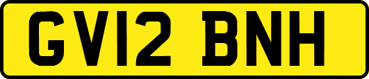 GV12BNH