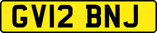 GV12BNJ
