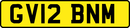 GV12BNM