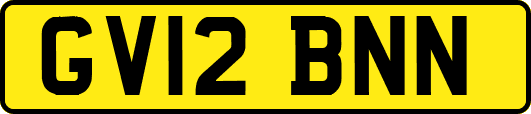 GV12BNN