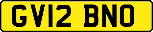 GV12BNO