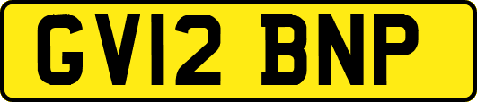 GV12BNP