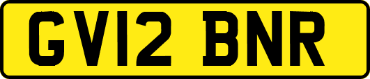 GV12BNR