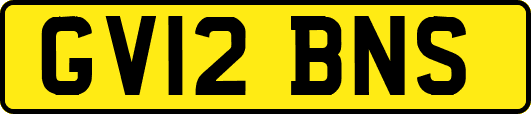GV12BNS