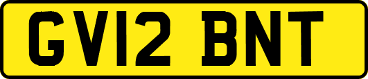 GV12BNT