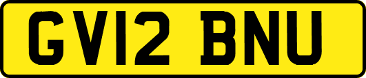 GV12BNU