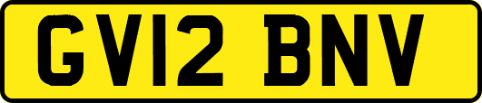 GV12BNV