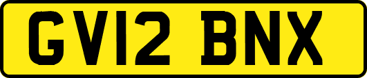 GV12BNX