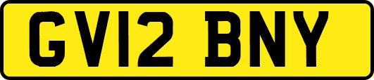 GV12BNY