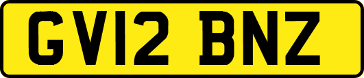 GV12BNZ
