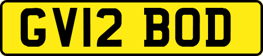 GV12BOD