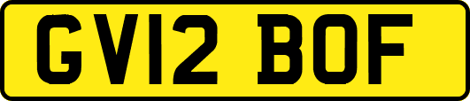GV12BOF