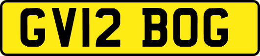 GV12BOG