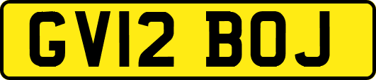 GV12BOJ