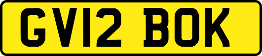 GV12BOK