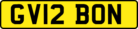 GV12BON