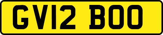 GV12BOO