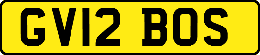 GV12BOS
