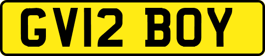 GV12BOY
