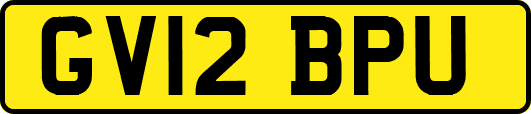 GV12BPU