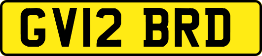 GV12BRD
