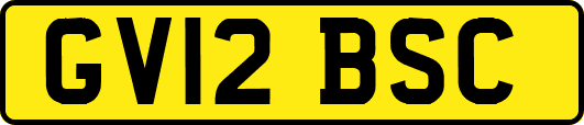 GV12BSC