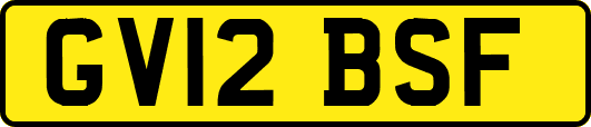 GV12BSF